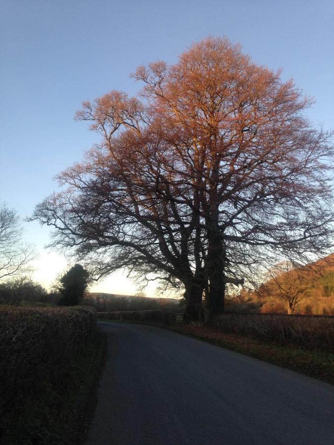 Henllys Estate B And B Llandovery Dış mekan fotoğraf